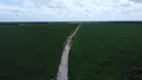 Foto 4 de Fazenda/Sítio para venda ou aluguel, 3700000m² em  Zona Rural, Teresina