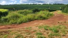 Foto 44 de Fazenda/Sítio à venda, 7600000m² em Zona Rural, Santo Antônio do Amparo