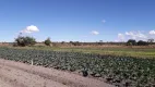 Foto 11 de Fazenda/Sítio à venda, 53000m² em Nucleo Rural Vargem Bonita, Brasília