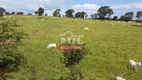 Foto 27 de Fazenda/Sítio à venda em Zona Rural, Leopoldo de Bulhões