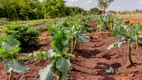 Foto 17 de Lote/Terreno à venda, 420m² em PORTAL DO SOL GREEN, Goiânia