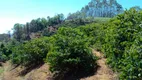 Foto 3 de Fazenda/Sítio à venda, 24200m² em Niteroi, Atilio Vivacqua