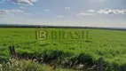 Foto 2 de Fazenda/Sítio à venda, 556m² em Zona Rural, Nova Mutum