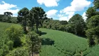 Foto 14 de Fazenda/Sítio à venda, 50000m² em Centro, Campo Alegre