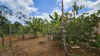 Foto 5 de Fazenda/Sítio com 2 Quartos à venda, 20000m² em Setor Residencial Oeste, Brasília