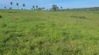 Foto 30 de Fazenda/Sítio com 3 Quartos à venda, 210000m² em Monte Alegre, Monte Alegre