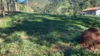 Foto 5 de Lote/Terreno à venda, 800m² em Visconde de Mauá, Resende