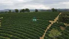 Foto 10 de Fazenda/Sítio com 1 Quarto à venda, 480000m² em , Bandeira do Sul