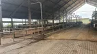 Foto 13 de Fazenda/Sítio com 5 Quartos à venda, 200m² em Zona Rural, Carmo de Minas