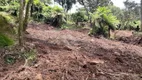 Foto 5 de Lote/Terreno à venda, 20000m² em Centro, Rio Rufino