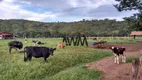 Foto 8 de Fazenda/Sítio com 4 Quartos à venda, 1137400m² em Zona Rural, Goiás