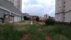 Foto 2 de Lote/Terreno para alugar, 500m² em Ponte Grande, Guarulhos