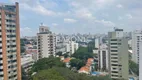 Foto 11 de Cobertura com 2 Quartos à venda, 256m² em Moema, São Paulo