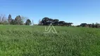 Foto 3 de Fazenda/Sítio à venda, 40000m² em Boqueirao, Passo Fundo