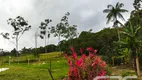 Foto 16 de Fazenda/Sítio com 3 Quartos à venda, 176m² em Vila Nova, Joinville