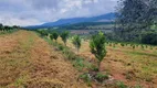 Foto 6 de Fazenda/Sítio com 1 Quarto à venda, 1968800m² em Centro, São Gonçalo do Sapucaí