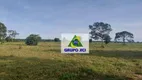 Foto 34 de Fazenda/Sítio à venda, 13775000m² em Zona Rural, Cocalinho