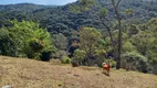 Foto 38 de Fazenda/Sítio à venda, 13000m² em Zona Rural, Marmelópolis