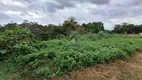 Foto 7 de Lote/Terreno à venda em Cachoeira, Almirante Tamandaré