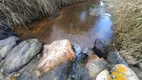 Foto 25 de Fazenda/Sítio à venda, 50000m² em Serra de Mato Grosso Sampaio Correia, Saquarema