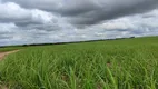 Foto 15 de Fazenda/Sítio com 3 Quartos à venda, 700000m² em Zona Rural, Canguaretama