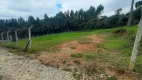 Foto 5 de Lote/Terreno à venda em Roseira, Colombo