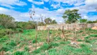 Foto 2 de Lote/Terreno à venda, 300m² em Davanuze, Divinópolis