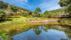 Foto 61 de Fazenda/Sítio com 4 Quartos à venda, 800m² em Campo Largo, Campo Largo