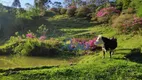 Foto 32 de Fazenda/Sítio com 3 Quartos à venda, 200m² em Tiroleses, Timbó