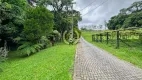 Foto 3 de Fazenda/Sítio com 2 Quartos à venda, 18555m² em Campestre da Faxina, São José dos Pinhais