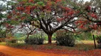 Foto 21 de Fazenda/Sítio com 12 Quartos para alugar, 900m² em Area Rural de Bauru, Bauru