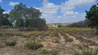 Foto 14 de Fazenda/Sítio com 3 Quartos à venda, 80000m² em Zona Rural, Macaíba