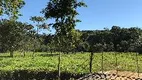 Foto 12 de Fazenda/Sítio com 3 Quartos à venda, 140m² em Zona Rural, Juquiá