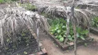 Foto 55 de Fazenda/Sítio com 3 Quartos à venda, 25000m² em Aldeia, Camaragibe