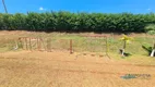 Foto 7 de Fazenda/Sítio com 2 Quartos para alugar, 10000m² em San Rafael, Ibiporã