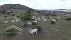 Foto 4 de Fazenda/Sítio à venda, 640000m² em Área Rural de Gravatá , Gravatá