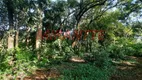 Foto 24 de Casa de Condomínio com 3 Quartos à venda, 392m² em Parque Residencial Palm Park, Holambra