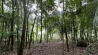 Foto 22 de Fazenda/Sítio com 3 Quartos à venda, 37000m² em Mulde, Timbó