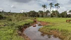 Foto 18 de Fazenda/Sítio com 3 Quartos à venda, 34000m² em Nova Uberlandia, Uberlândia