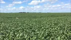 Foto 21 de Fazenda/Sítio com 3 Quartos à venda, 90m² em Zona Rural, Cocalinho