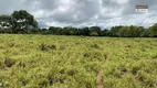 Foto 6 de Fazenda/Sítio à venda em Zona Rural, Porangatu