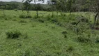 Foto 6 de Lote/Terreno à venda, 20000m² em Centro, Fortuna de Minas