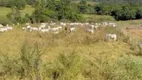 Foto 10 de Fazenda/Sítio com 7 Quartos à venda, 11600000m² em Zona Rural, Primavera do Leste
