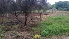 Foto 6 de Lote/Terreno à venda, 5000m² em Ferraria, Campo Largo