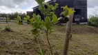 Foto 6 de Fazenda/Sítio com 2 Quartos à venda, 60m² em Cascata, Pelotas