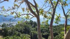 Foto 17 de Lote/Terreno à venda, 5383m² em Ilhote, Ilhabela