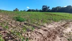 Foto 8 de Fazenda/Sítio com 2 Quartos à venda, 70m² em Zona Rural, Angatuba