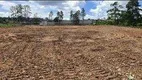 Foto 4 de Lote/Terreno para alugar, 13000m² em Cumbica, Guarulhos