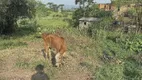 Foto 39 de Fazenda/Sítio com 3 Quartos à venda, 5m² em , Santo Antônio da Patrulha