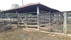 Foto 32 de Fazenda/Sítio com 2 Quartos à venda, 270000m² em Bezerra, Formosa